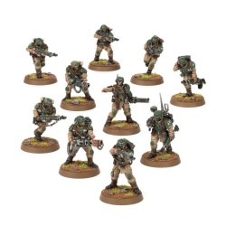 Cadianische Stoßtruppen / Cadian Shock Troops