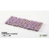 Lavender Flowers