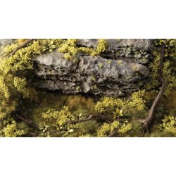 Light Green Shrubs