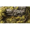 Light Green Shrubs