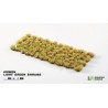 Light Green Shrubs