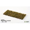 Dry Green Shrubs