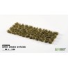 Dark Green Shrubs