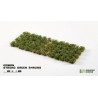 Strong Green Shrubs