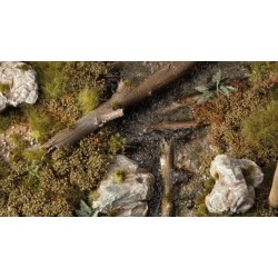 Swamp Shrubs