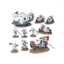 Kampfpatrouille der White Scars