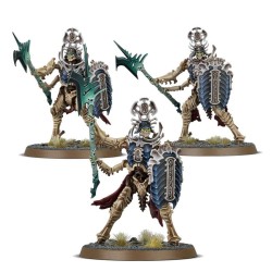 Ossiarch Bonereapers: Necropolis Stalkers / Immortis Guards