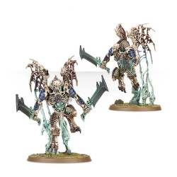 Mailorder Ossiarch Bonereapers: Morghast Harbingers / Morghast Archai