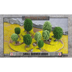 Small Summer Wood