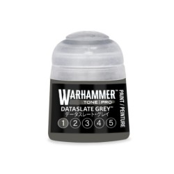 Tone Pro  DATASLATE GREY 1 12ML